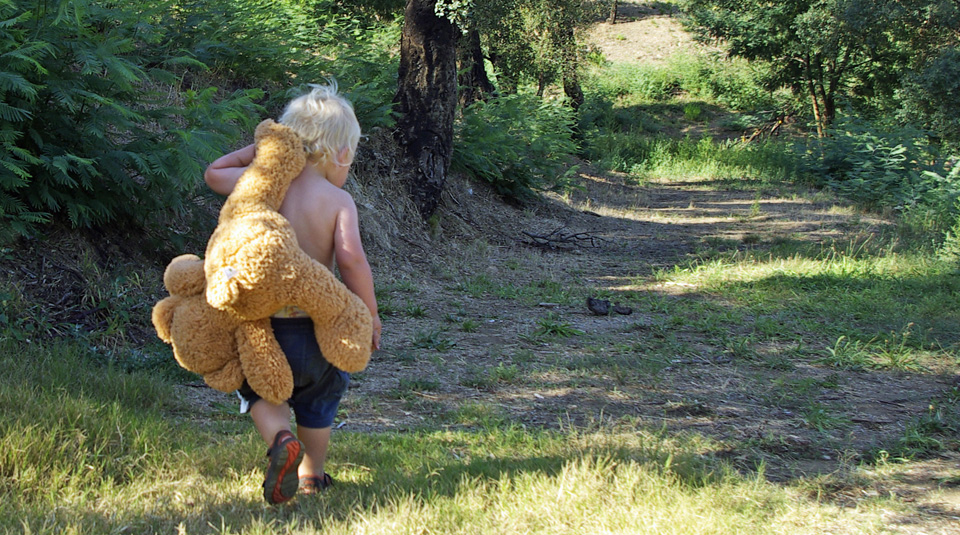 Boy and Bear